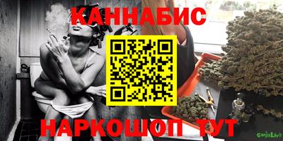 стаф Боровичи