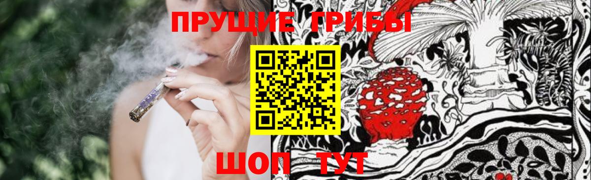 Галлюциногенные грибы GOLDEN TEACHER Можга