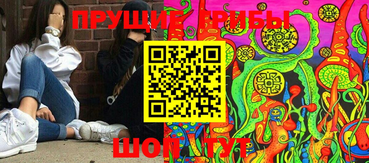 Псилоцибиновые грибы Cubensis  Вход с VPN  Можга 