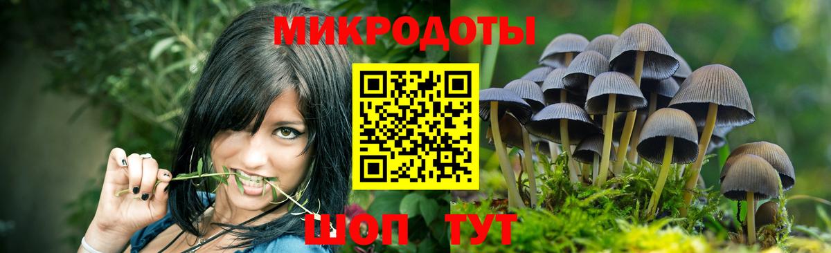 Конопля Можга