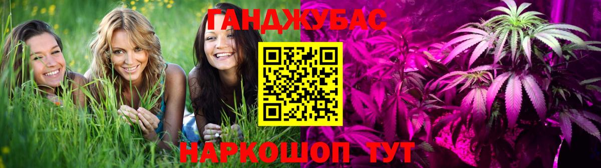 Шишки марихуана конопля  Вход с VPN  Конопля Bruce Banner  Каннабис планчик  Можга  Марихуана AK-47 